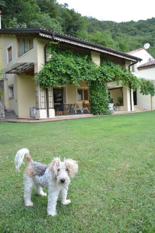 B&B Ca' Dell'Ortolan Villaga Екстер'єр фото